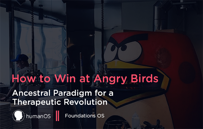 How to Win at Angry Birds